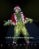 Grinch_2008_241.jpg